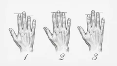 Persoonlijkheidstest: dit zegt de lengte van je vingers over je karakter